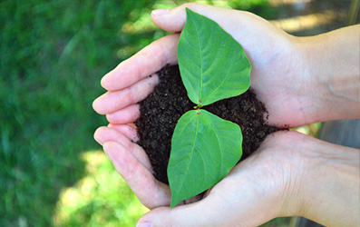 维多利亚老品牌vic(集团)官方网站