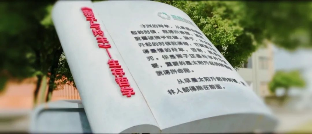 维多利亚老品牌vic(集团)官方网站